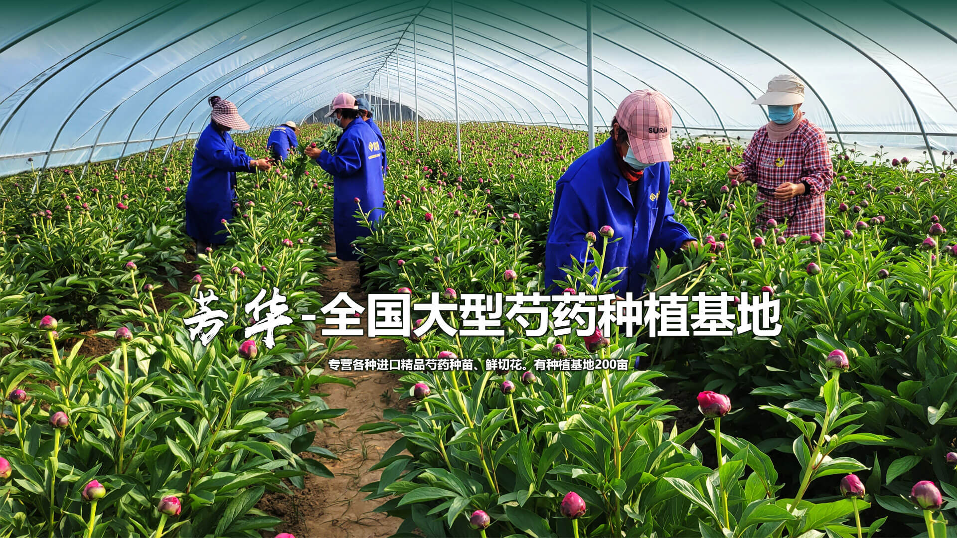濰坊馳龍機電設備有限公司